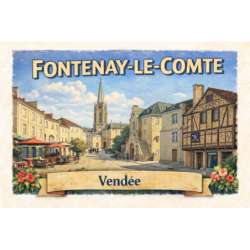 Fontenay-le-Comte – Lot 50 cartes postales – ADV
