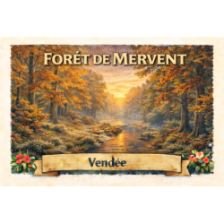 Forêt de Mervent (Automne) – Lot 50 cartes postales – ADV
