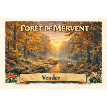 Forêt de Mervent (Automne) – Lot 50 cartes postales – ADV