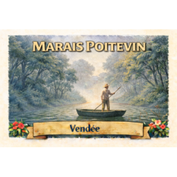 Marais Poitevin (Brume) – Lot 50 cartes postales – ADV