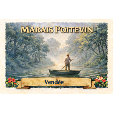 Marais Poitevin (Brume) – Lot 50 cartes postales – ADV