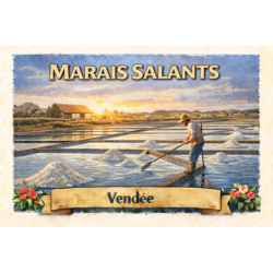Marais salants (Récolte du sel) – Lot 50 cartes postales – ADV
