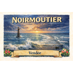 Noirmoutier (Passage du Gois) – Lot 50 cartes postales – ADV