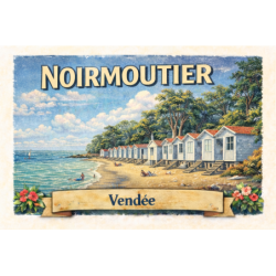 Noirmoutier (Plage des Dames) – Lot 50 cartes postales – ADV