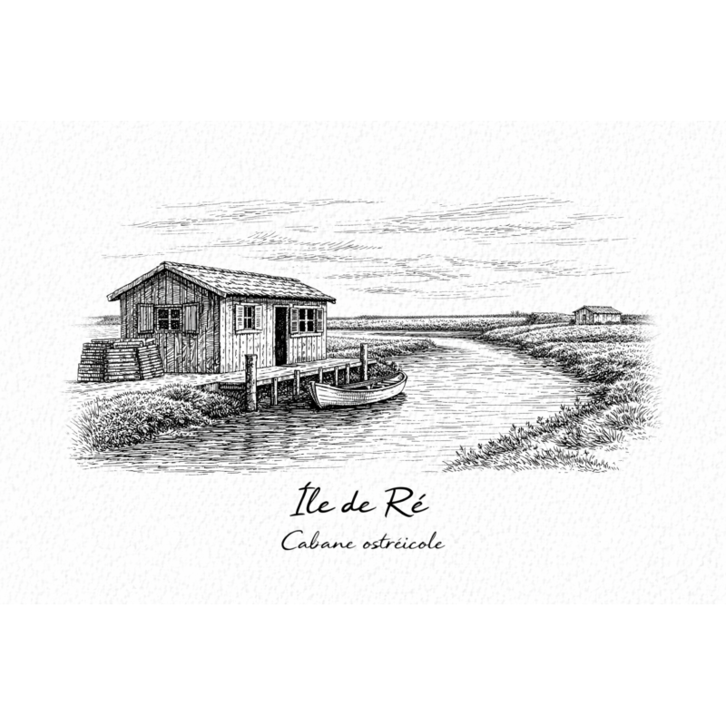Île de Ré (Cabane ostréicole) – Lot 50 cartes postales – GRAV