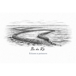 Île de Ré (Écluses à poissons) – Lot 50 cartes postales – GRAV