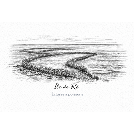 Île de Ré (Écluses à poissons) – Lot 50 cartes postales – GRAV