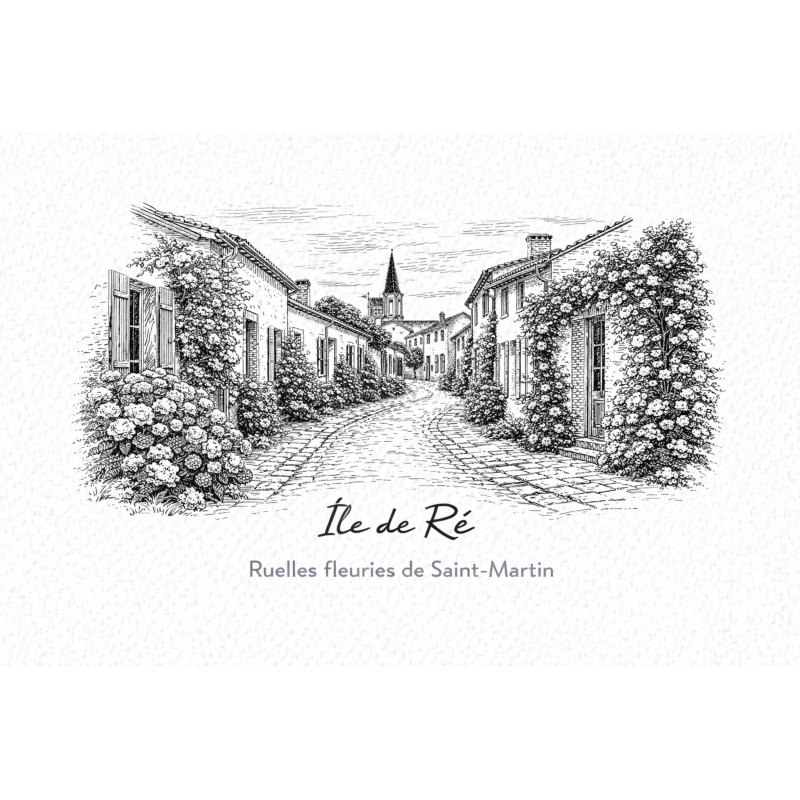 Île de Ré (Ruelles fleuries de Saint-Martin) – Lot 50 cartes postales – GRAV