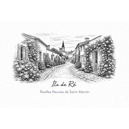 Île de Ré (Ruelles fleuries de Saint-Martin) – Lot 50 cartes postales – GRAV