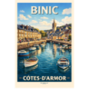 Côtes-d’Armor – Binic – Lot 50 cartes postales – ADV