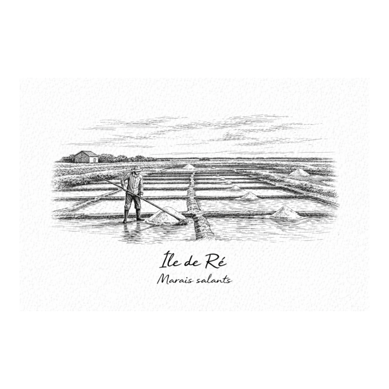 Île de Ré (Marais salants) – Lot 50 cartes postales – GRAV