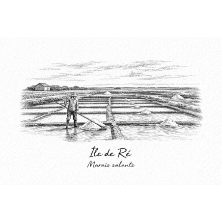 Île de Ré (Marais salants) – Lot 50 cartes postales – GRAV