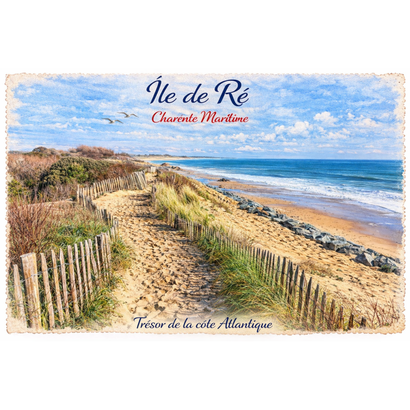 Charente-Maritime – Île de Ré (Dunes) – Lot 50 cartes postales – AQUA