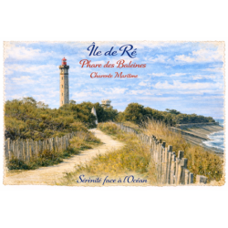 Charente-Maritime – Phare des Baleines (Chemin) – Lot 50 cartes postales – AQUA