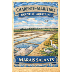 Charente-Maritime – Marais Salants – Lot 50 cartes postales – MZK
