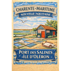 Charente-Maritime – Port Des Salines Oleron – Lot 50 cartes postales – MZK