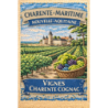 Charente-Maritime – Vignes Cognac – Lot 50 cartes postales – MZK