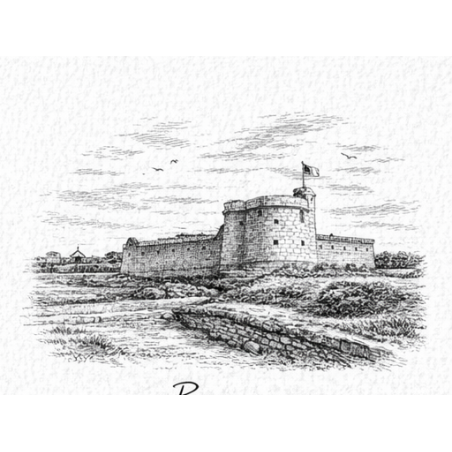 Charente-Maritime – Brouage Fortifications – Lot 50 cartes postales – GRAV