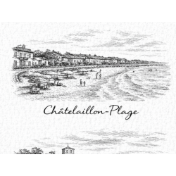 Charente-Maritime – Chatelaillon Plage – Lot 50 cartes postales – GRAV