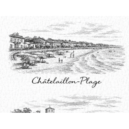 Charente-Maritime – Chatelaillon Plage – Lot 50 cartes postales – GRAV