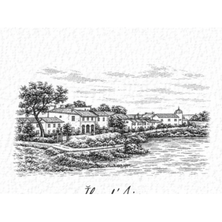 Charente-Maritime – Ile D Aix Village – Lot 50 cartes postales – GRAV