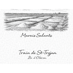 Charente-Maritime – Marais Salants – Lot 50 cartes postales – GRAV