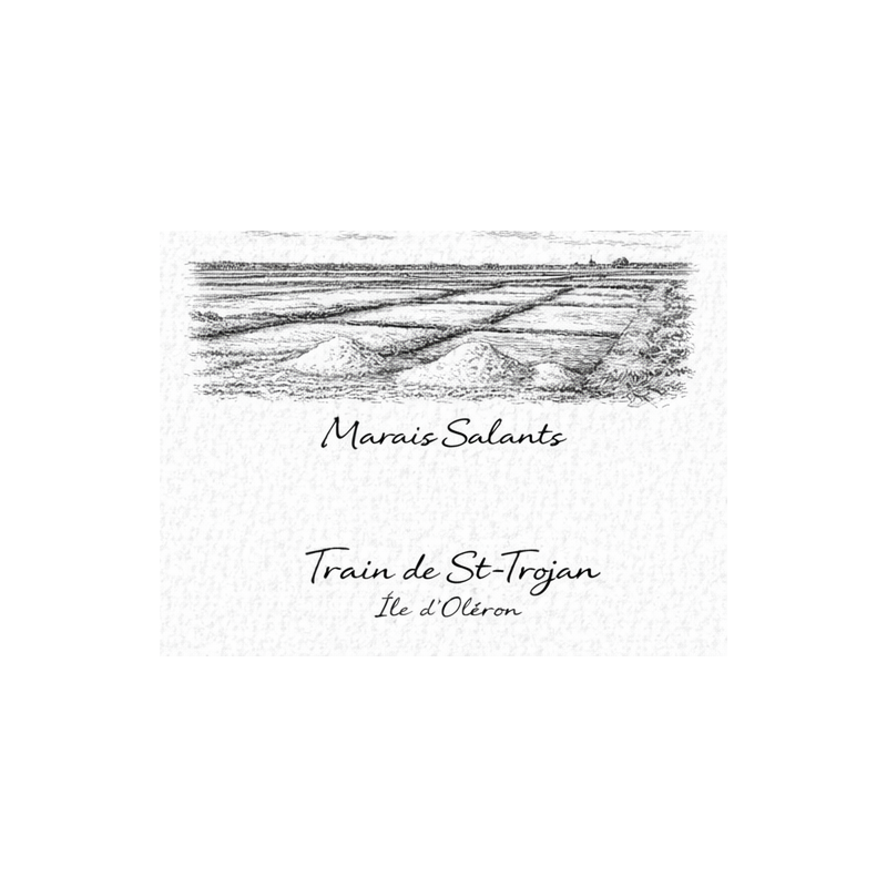 Charente-Maritime – Marais Salants – Lot 50 cartes postales – GRAV