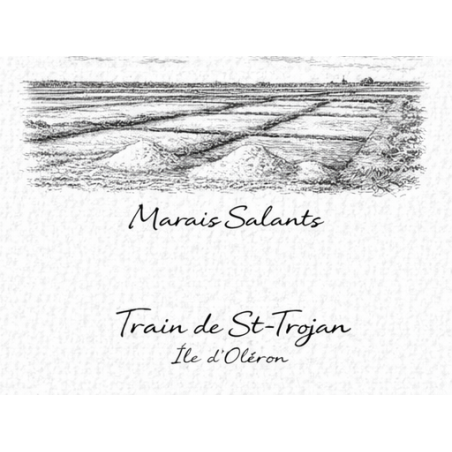 Charente-Maritime – Marais Salants – Lot 50 cartes postales – GRAV