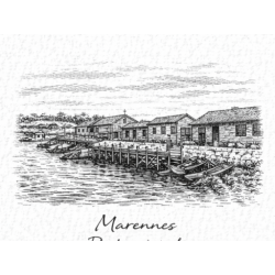 Charente-Maritime – Marennes Port – Lot 50 cartes postales – GRAV