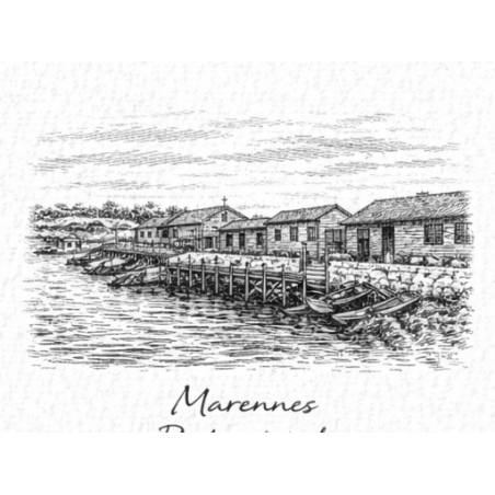 Charente-Maritime – Marennes Port – Lot 50 cartes postales – GRAV