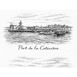 Charente-Maritime – Port La Cotiniere – Lot 50 cartes postales – GRAV