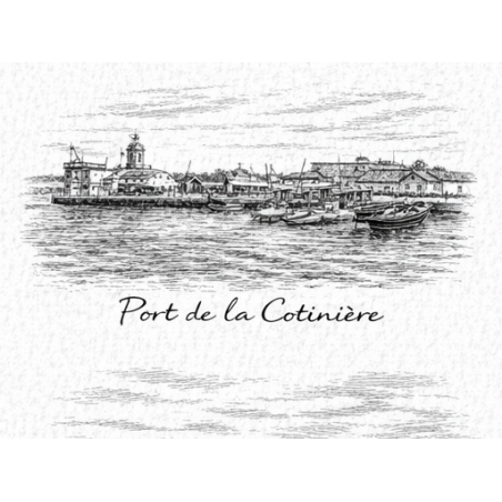 Charente-Maritime – Port La Cotiniere – Lot 50 cartes postales – GRAV