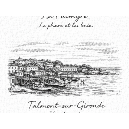 Charente-Maritime – Talmont Port – Lot 50 cartes postales – GRAV