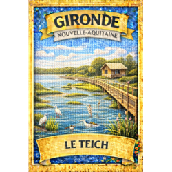 Le Teich – Lot 50 cartes postales – MZK