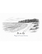 17 GRAV - Dessin gravure